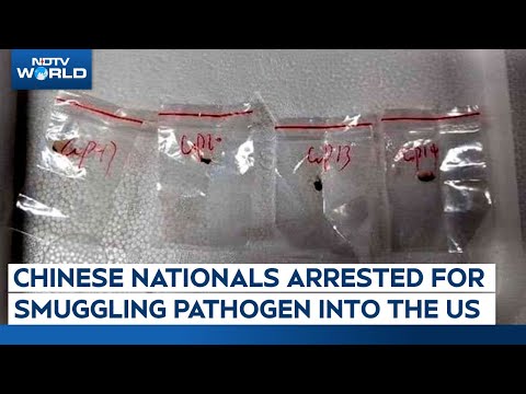 Chinese Woman, Boyfriend Arrested For Smuggling Biological Pathogen Into US