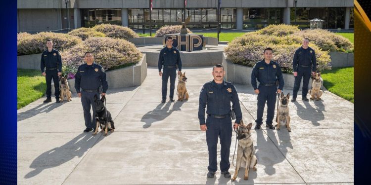 Six New K-9 Teams Join CHP to Combat Crime and Detect Fentanyl