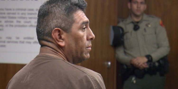 Man Caught With 231 Pounds of Meth Takes Plea Deal