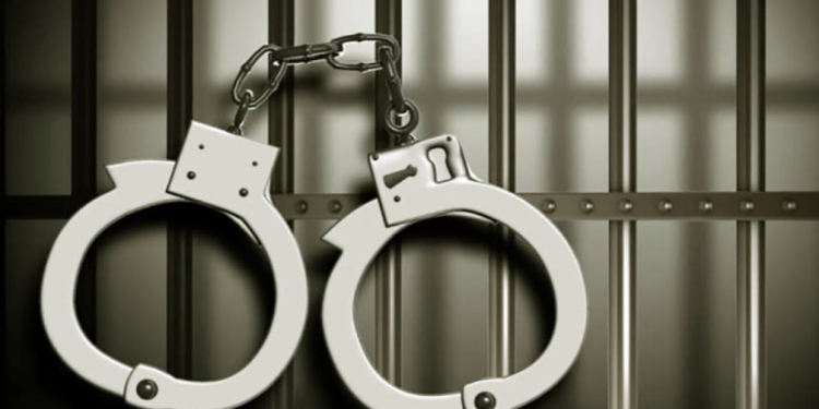 Chinese Couple Arrested for Smuggling Dangerous Pathogen into U.S., Raising Agroterrorism Concerns