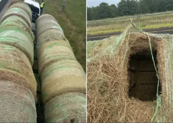 Alleged Human Smugglers Arrested in Texas After Hiding Migrants Inside Hollowed Hay Bales