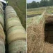 Alleged Human Smugglers Arrested in Texas After Hiding Migrants Inside Hollowed Hay Bales