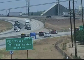 LA Woman Arrested After Bear Spray Incident and High-Speed Chase Near Delano